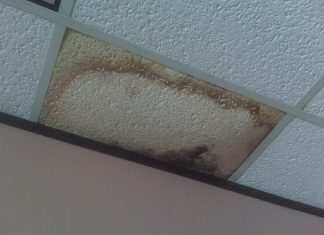 What Are Steps to Take After Water Damage? Water Damage