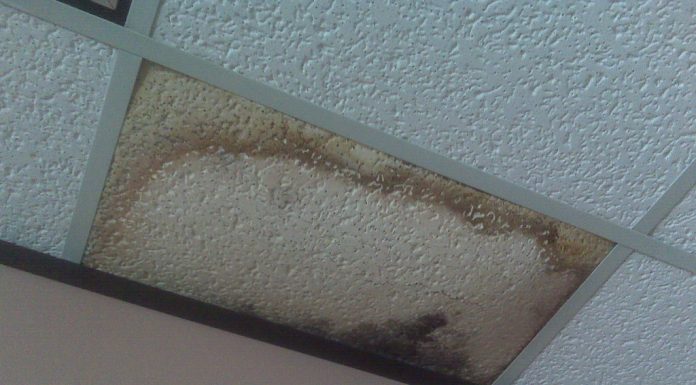 What Are Steps to Take After Water Damage? Water Damage