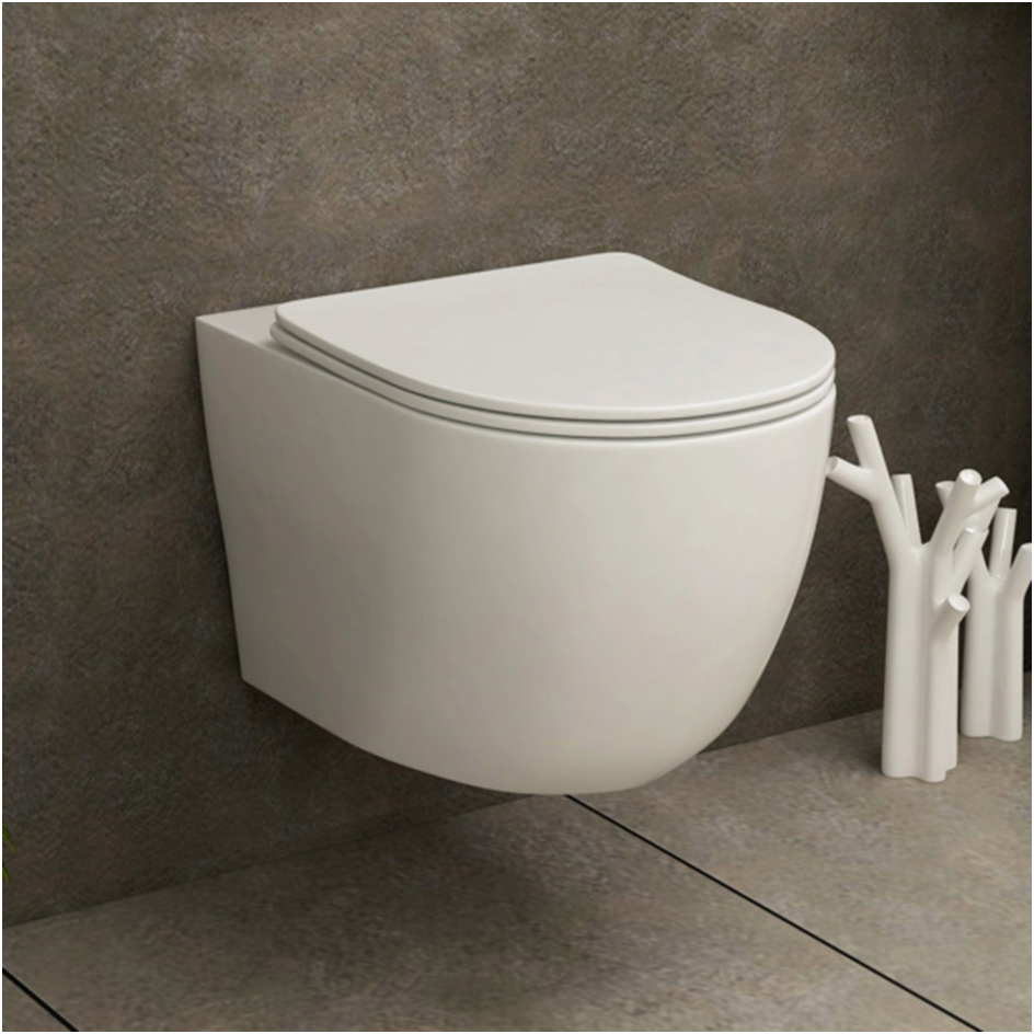 Why Choose a Wall Mounted Toilet?