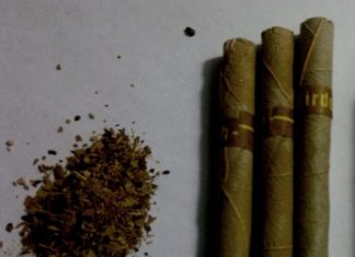Pick Herbal Pest Control Services For Your Homes Herbal