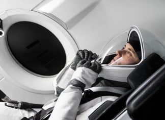 Questions To Ask A Specialist In Pest Control Pest Control