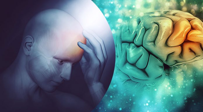 What Causes Alzheimer’s Disease? Symptoms, Causes, Treatments Alzheimer's Disease