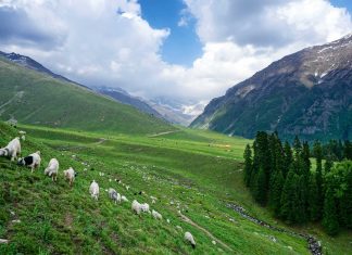 Buran Ghati – Accessibility, Timings, Best Time to Visit Buran Ghati