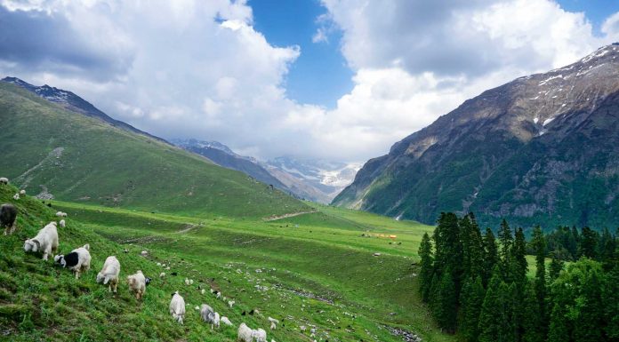 Buran Ghati – Accessibility, Timings, Best Time to Visit Buran Ghati
