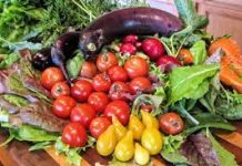 A Culinary Journey to Health: Exploring Nutrient-Rich Options Colorful bowl of fresh vegetables grains and legumes