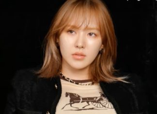 From K-Pop Sensation to Financial Success: A Look Into Wendy Red Velvet Net Worth Story Wendy Red Velvet net worth