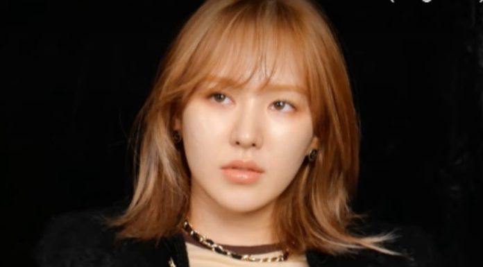 From K-Pop Sensation to Financial Success: A Look Into Wendy Red Velvet Net Worth Story Wendy Red Velvet net worth