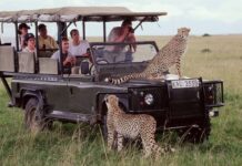 KENYA TANZANIA BUDGET SAFARI